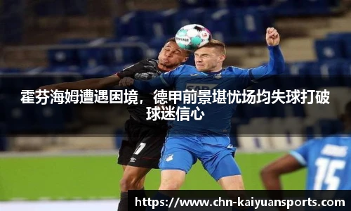 霍芬海姆遭遇困境，德甲前景堪忧场均失球打破球迷信心