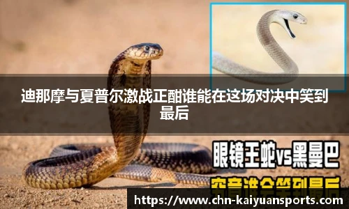 迪那摩与夏普尔激战正酣谁能在这场对决中笑到最后